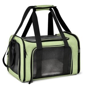 PETWEGO Portable Cat Dog Carrier (Green)