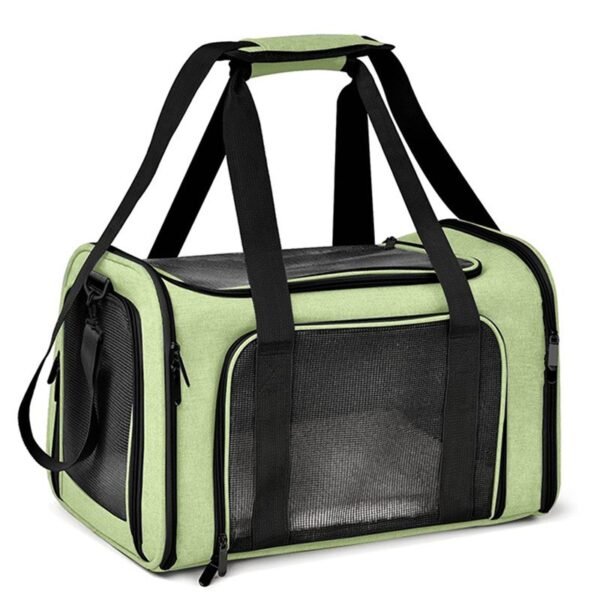 PETWEGO Portable Cat Dog Carrier (Green)