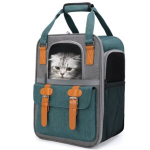 PETWEGO Pet cat dog backpack up to 15 lbs (Green)